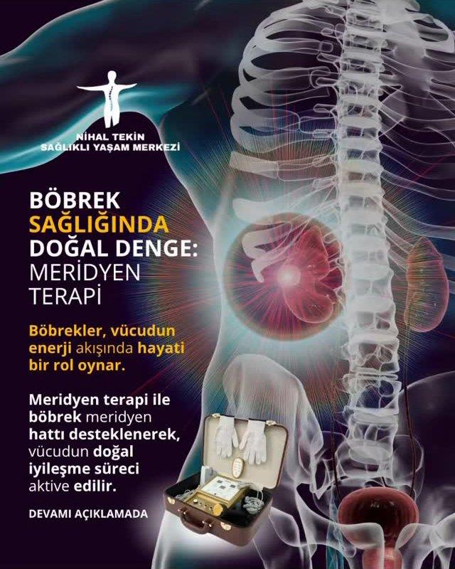 Böbrek Sağlığında Doğal Denge: Meridyen Terapi