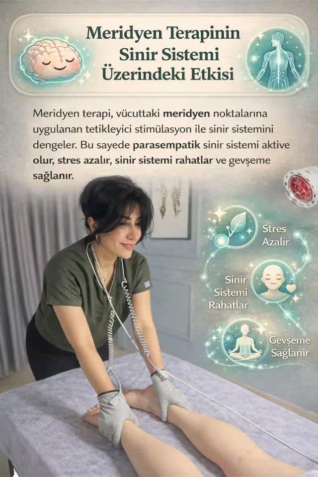 Meridyen Terapinin Sinir Sistemi Üzerindeki Etkisi