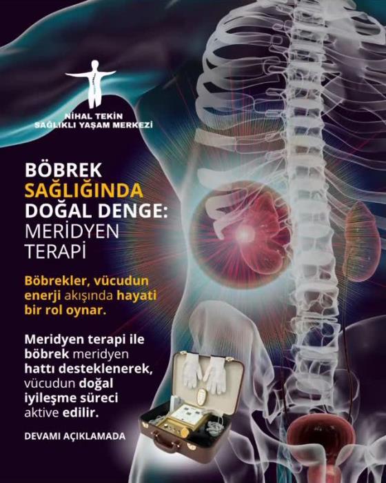 Böbrek Sağlığında Doğal Denge: Meridyen Terapi