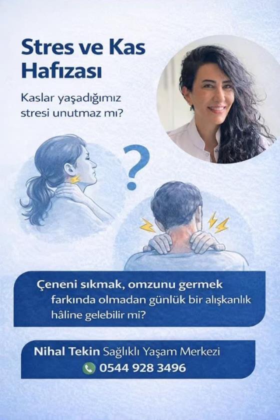 Stres Ve Kas Hafızası